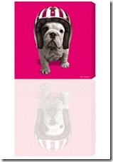 101-DoggyRiderRose_300x430