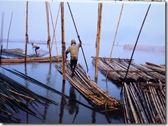 Expo photo Forêt 2011 -0017_1