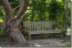 Vacances_Ete_2011_Forcalquier-0053