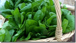 trempette_epinards_raifort_nu