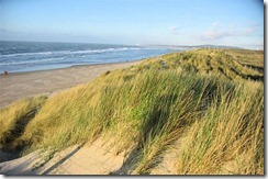 plage-touquet-262905