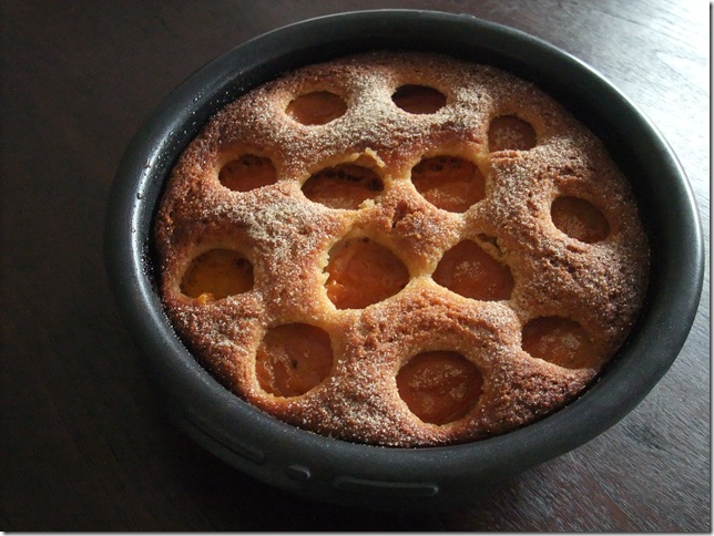 G&acirc;teau Abricot
