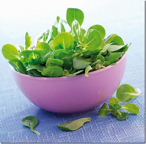 M&acirc;che-nantaise