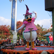 Afficher l'album Afficher l'album