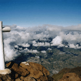 Afficher l'album Afficher l'album