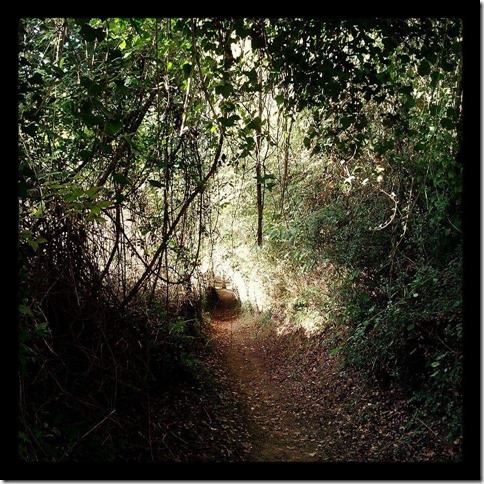 received_908656032548584