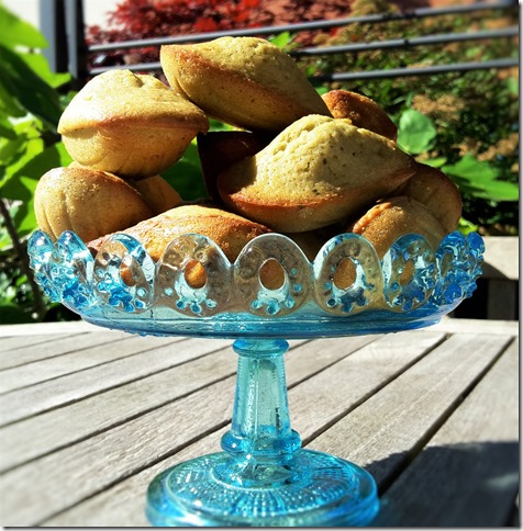 20160807_104242_1470601714232